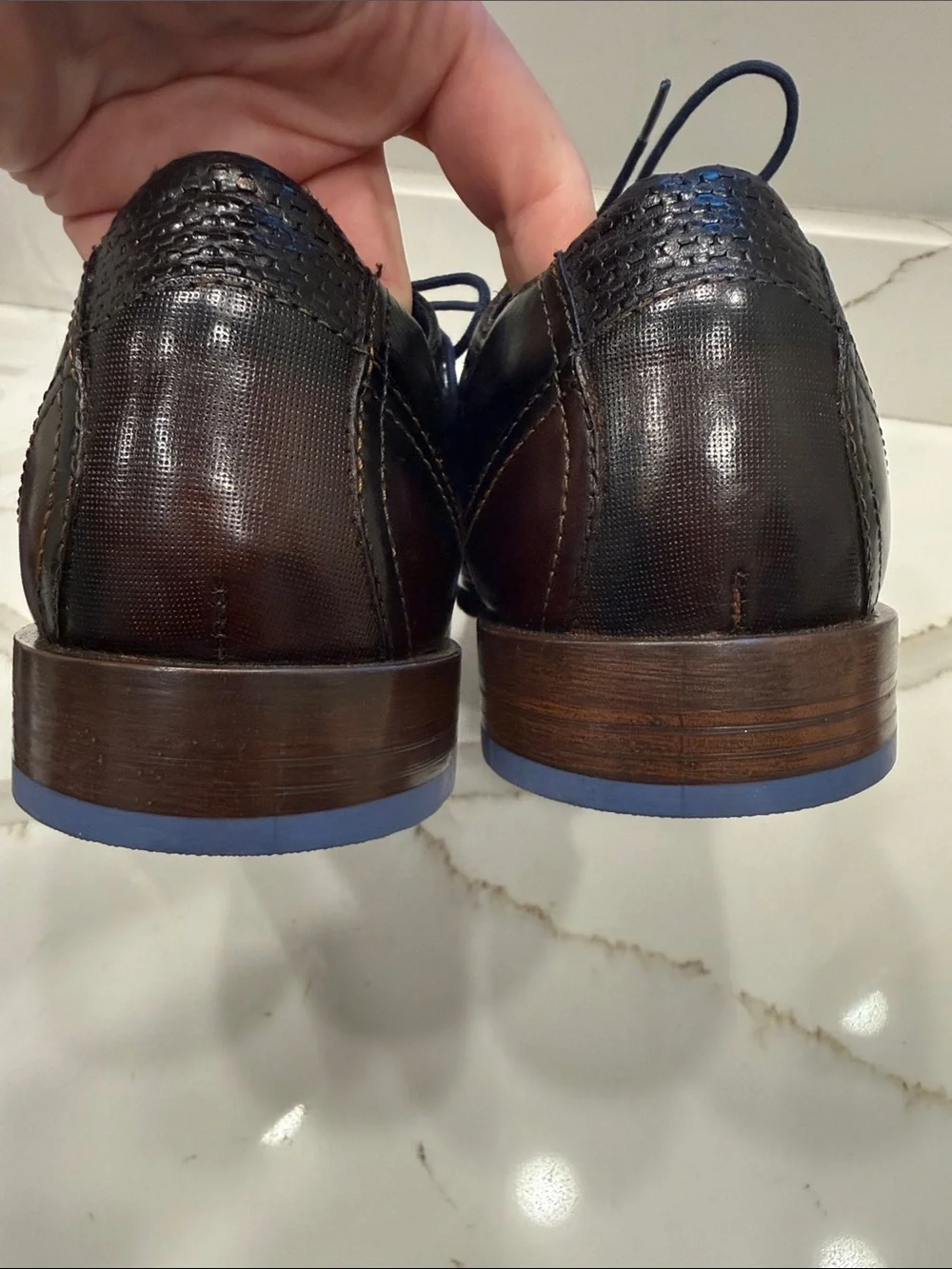 Stacy Adams Kaine Wingtip Dark Brown Leather Oxfords with Navy Laces Brand New